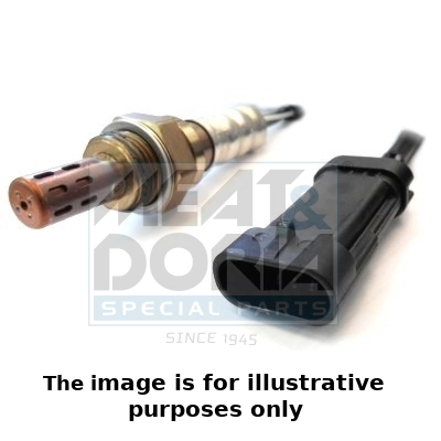 Oxygen Sensor